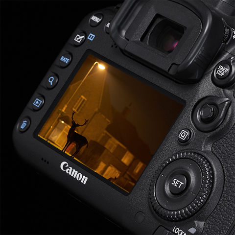 Detalės fotografuojant prietemoje